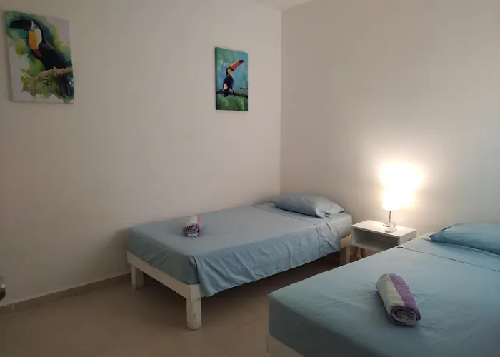 Wooden Nest - El Lugar Tus Vacaciones *